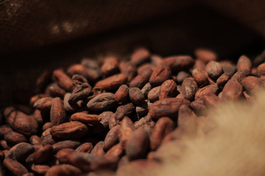 Raw Fine Cocoa Beans